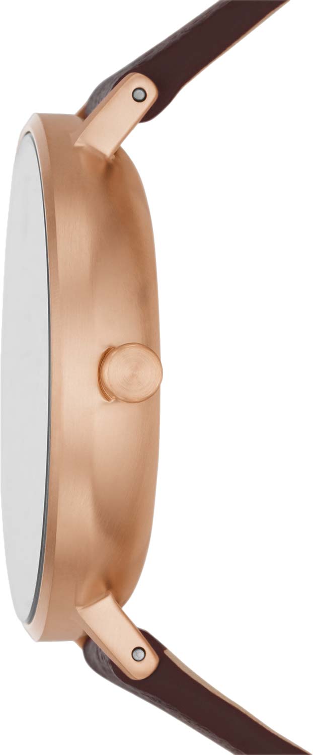 SKAGEN SKW2971