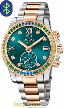 Jaguar J981/6