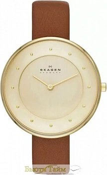 SKAGEN SKW2138%